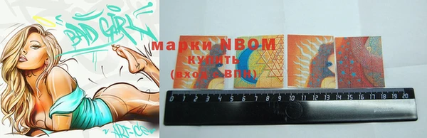 стафф Заволжье